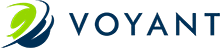 Voyant